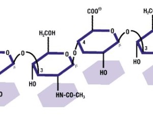 acido hialuronico
